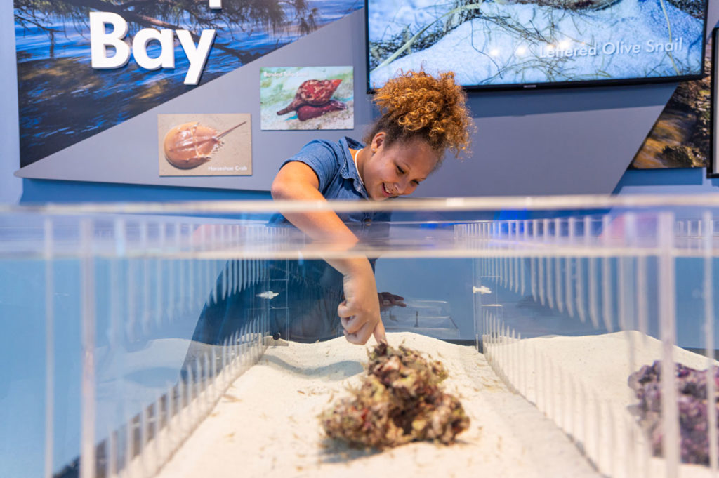 kid touching coral in tank