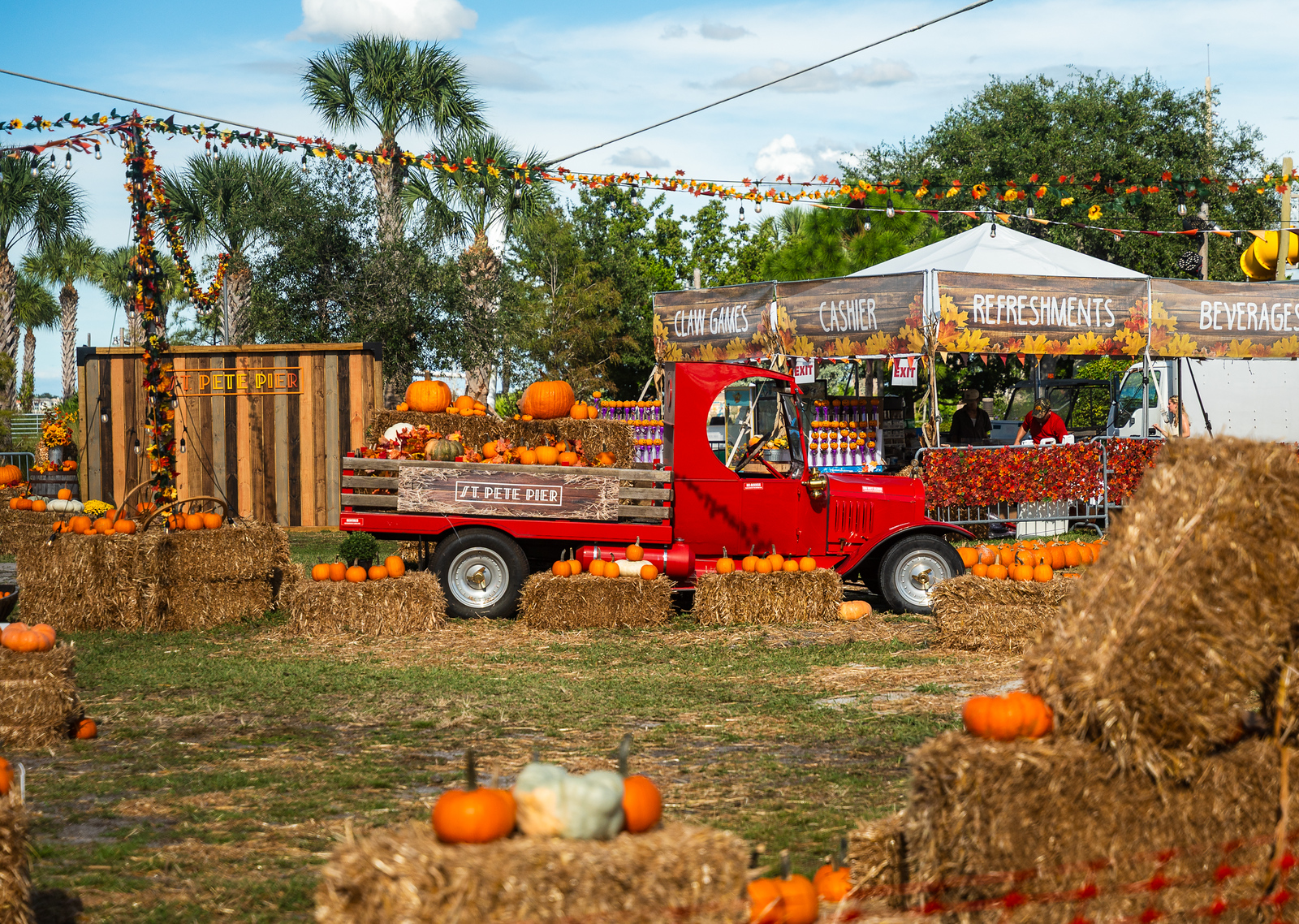 PUMPKIN PATCH & PUTT PUTT